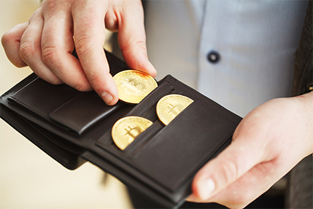Un image de portefeuille qui tient des crypto monnaies dedans.